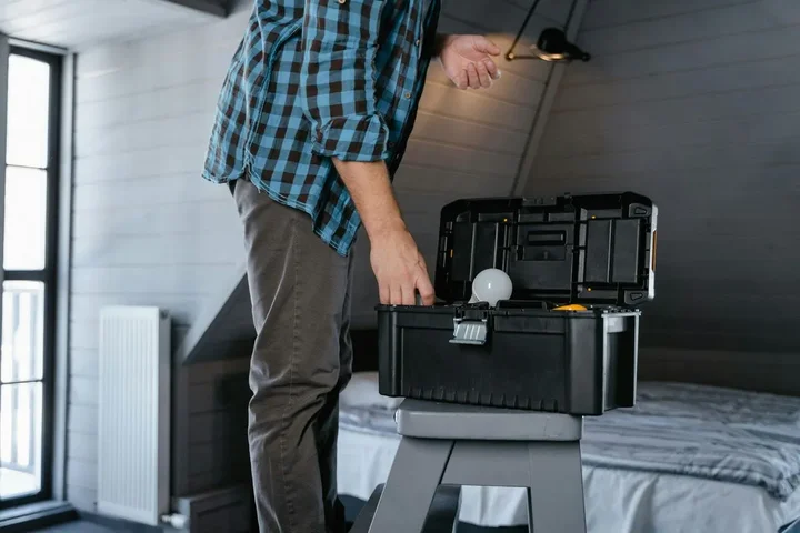 Czego najbardziej boją się kuny? Oto, co naprawdę je odstrasza