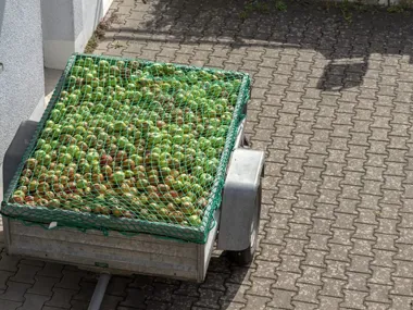 Siatki transportowe – jak zabezpieczać ładunek podczas transportu drogowego?