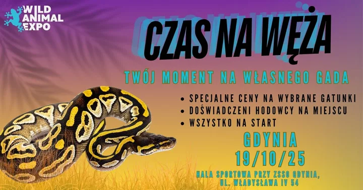 Obrazek przedstawia grafikę promocyjną wydarzenia Giełda i porady hodowców węży w Gdyni — 19 października 2025