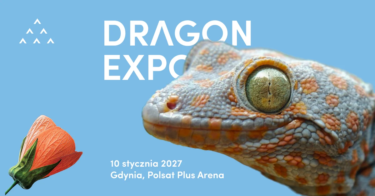 Grafika promocyjna wydarzenia Dragon Expo Gdynia: egzotyka i terraria