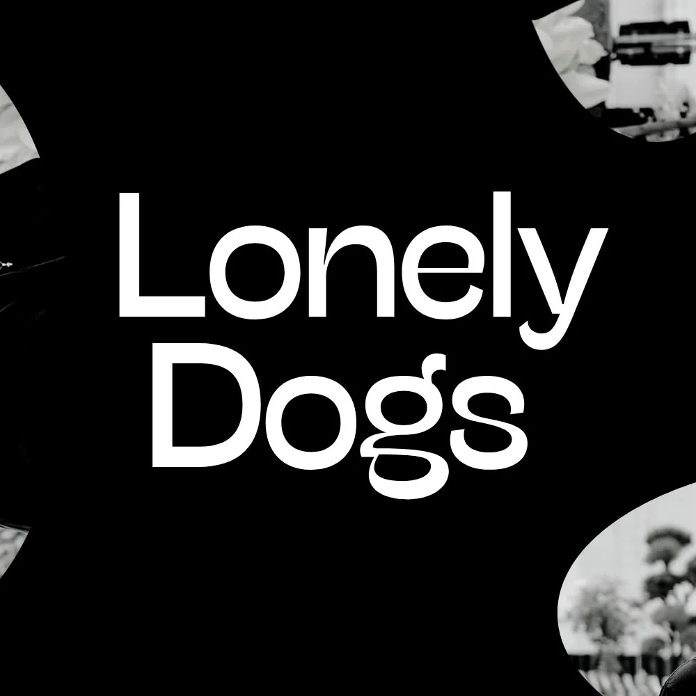 Grafika promocyjna wydarzenia Lonely Dogs koncert rockowy