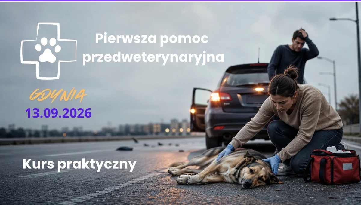Grafika promocyjna wydarzenia Pomoc przedweterynaryjna dla psów – kurs pierwszej pomocy