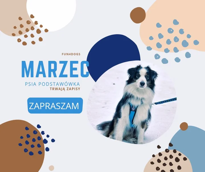 Grafika promocyjna wydarzenia Psia Podstawówka Gdynia — kurs podstaw posłuszeństwa dla młodych psów