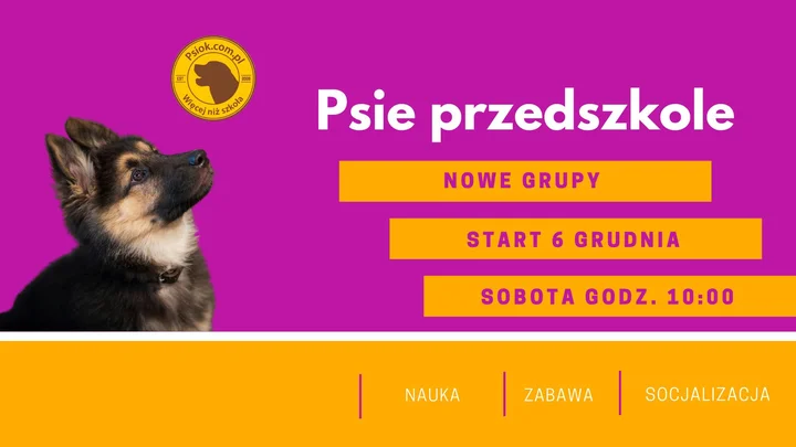 Grafika promocyjna wydarzenia Psie Przedszkole Psiok — Gdynia (grudzień 2025)