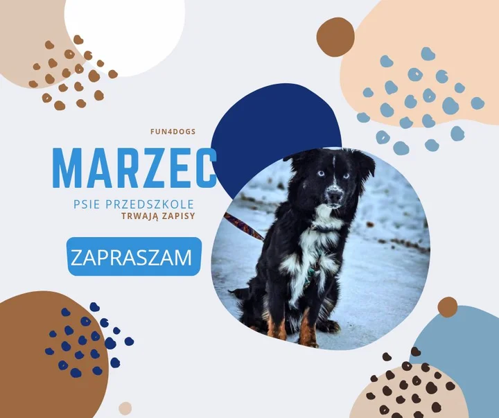 Grafika promocyjna wydarzenia Psie Przedszkole Gdynia — start nowej edycji dla szczeniąt