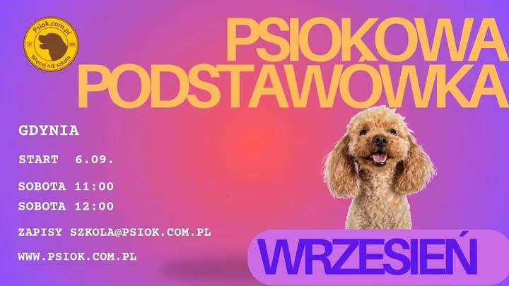 Obrazek przedstawia grafikę promocyjną wydarzenia Podstawowe szkolenie psów w Gdyni dla młodych i dorosłych