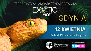Grafika promocyjna wydarzenia Exotic Fest GDYNIA – tropikalne gady, owady i rośliny w Polsat Plus Arena