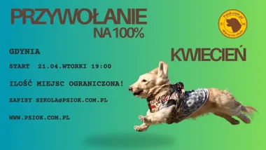 Grafika promocyjna wydarzenia Kurs „Przywołanie na 100%” w Gdyni – nauka skutecznego przywoływania psa