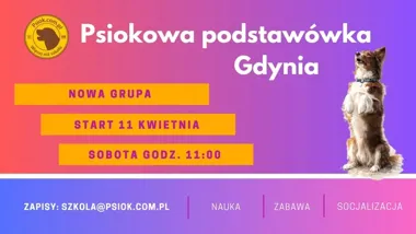 Grafika promocyjna wydarzenia Psia podstawówka w Gdyni – szkolenie dla dorastających i dorosłych psów