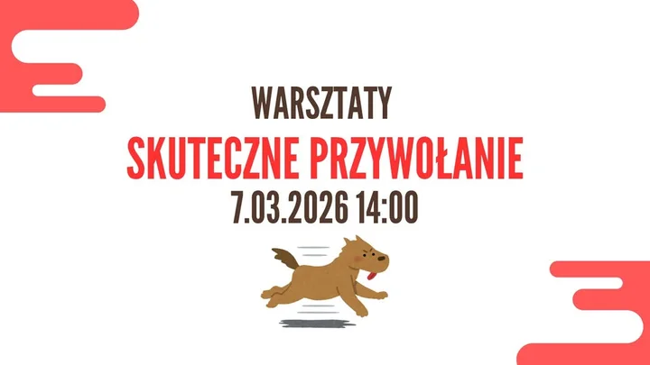 Grafika promocyjna wydarzenia WARSZTATY SKUTECZNE PRZYWOŁANIE – Gdynia