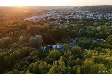 Dziki w Gdyni przestają być chaosem. Rusza nowy etap działań