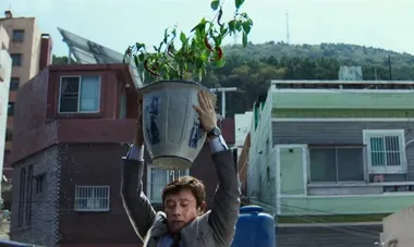 Gdyńskie Centrum Filmowe otwiera maraton z Cannes, Wenecji i Oscarów