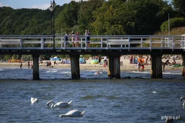 Biała flaga na wszystkich gdyńskich kąpieliskach. Woda ma 17–18°C