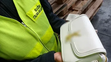 Gdyńscy celnicy zatrzymali transport podróbek wartych 45 milionów