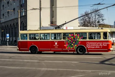 Zabytkowe trolejbusy udekorowane kwiatami pojadą po Gdyni z okazji Dnia Kobiet
