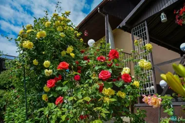 88 tysięcy złotych na modernizację 11 ogrodów działkowych – wsparcie dla ROD-ów