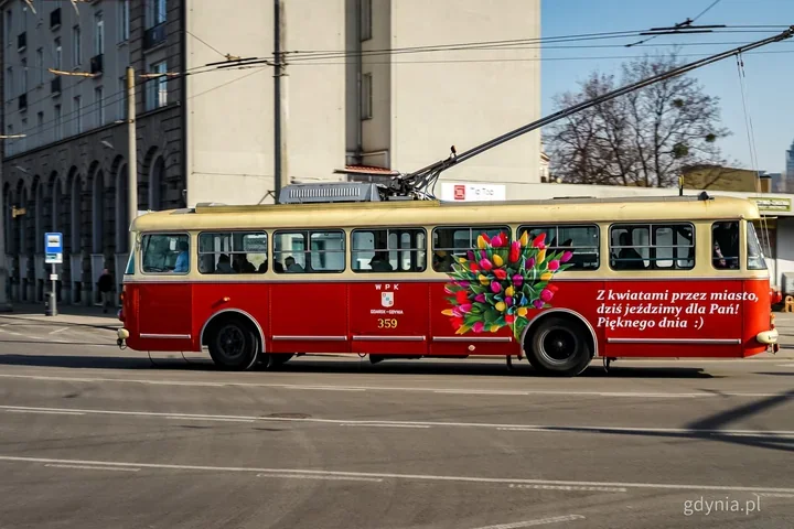 Zabytkowe trolejbusy udekorowane kwiatami pojadą po Gdyni z okazji Dnia Kobiet