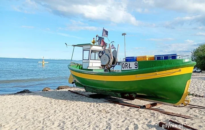 Sinice zamknęły kąpielisko w Redłowie. Trzy plaże z białą flagą